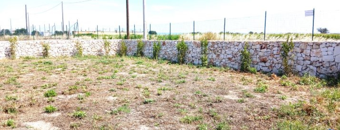 CONTRADA ABATERESTA, Taranto, ,Terreno,Vendita,CONTRADA ABATERESTA,1446