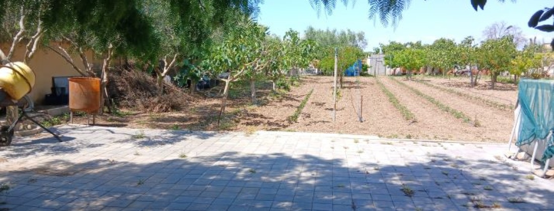 CONTRADA ABATERESTA, Taranto 74123, ,Terreno,Vendita,CONTRADA ABATERESTA,1447