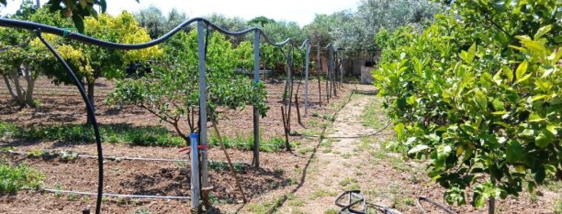 CONTRADA ABATERESTA, Taranto 74123, ,Terreno,Vendita,CONTRADA ABATERESTA,1447