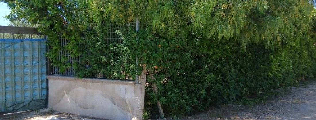 CONTRADA ABATERESTA, Taranto 74123, ,Terreno,Vendita,1448